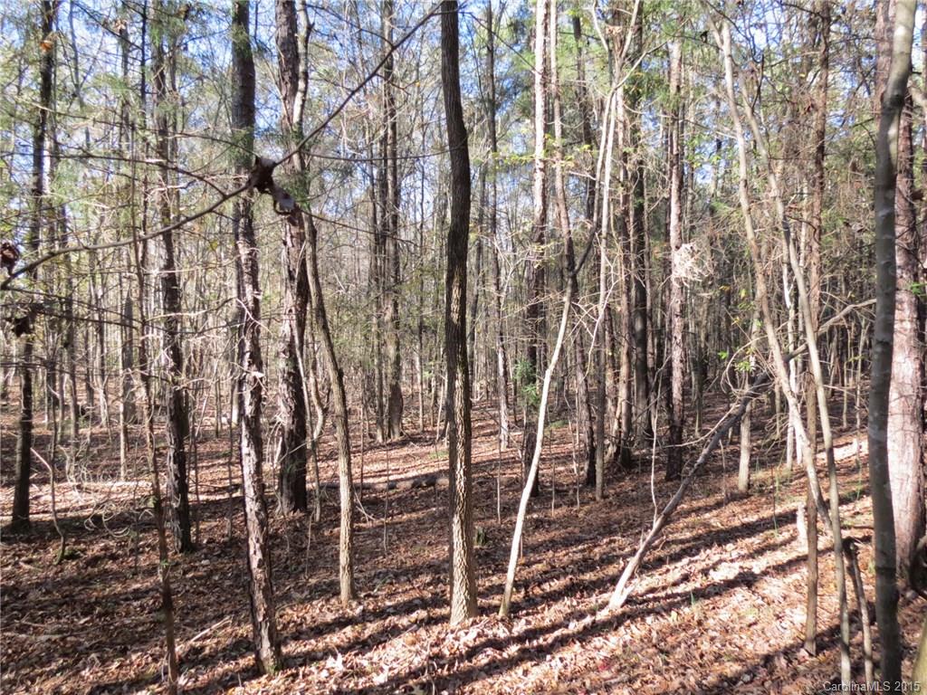 1248 Daniel Road York, SC 29745 - Photo 6 of 9