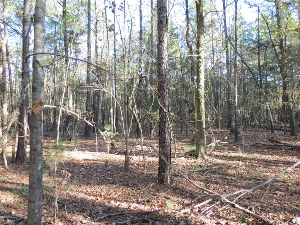 1248 Daniel Road York, SC 29745 - Photo 7 of 9