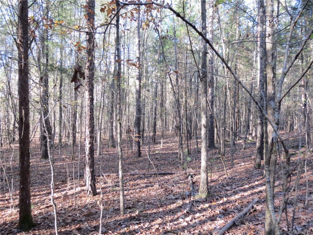1248 Daniel Road York, SC 29745 - Photo 8 of 9