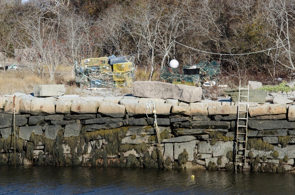 3 Colburn Street Gloucester, MA 01930 - Photo 4 of 17