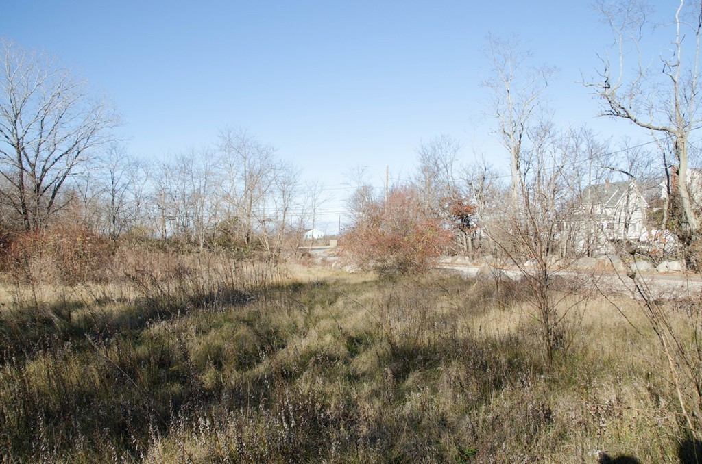 3 Colburn Street Gloucester, MA 01930 - Photo 5 of 17 a view of a yard