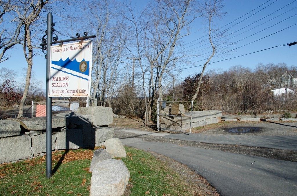 3 Colburn Street Gloucester, MA 01930 - Photo 6 of 17 a view of backyard with a table and chairs