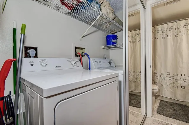 a large tree in front of a house and a yard