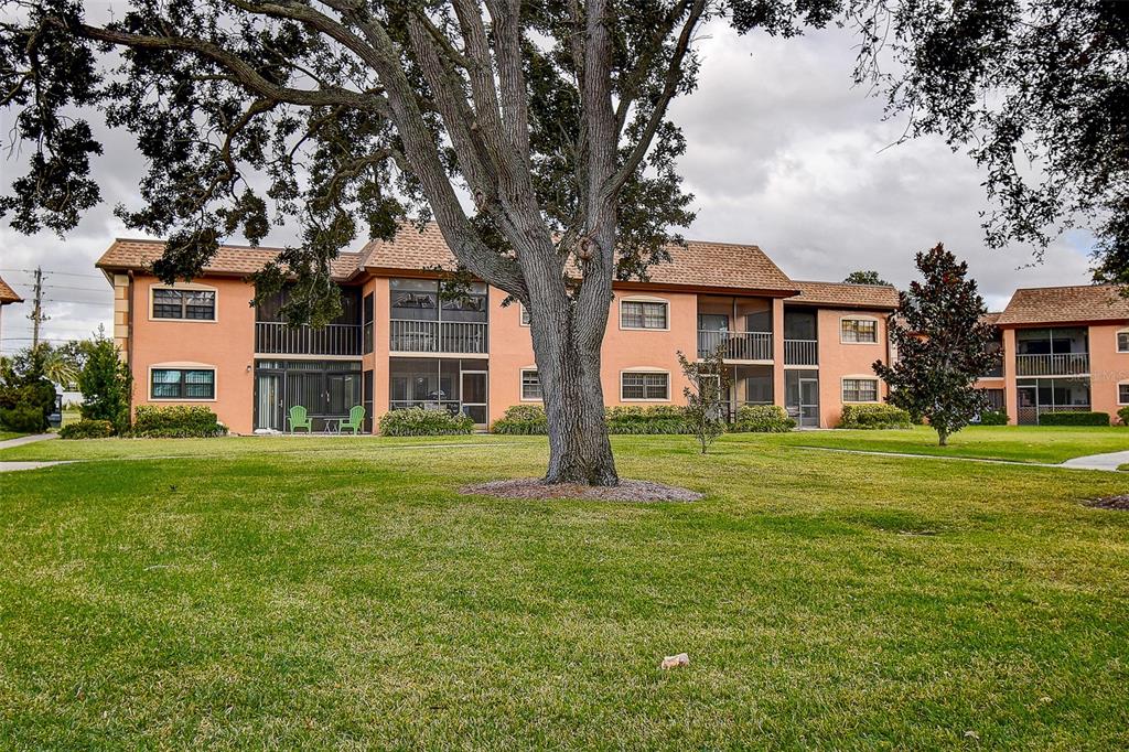 12900 Vonn Road, Unit C202 Largo, FL 33774 - Photo 29 of 38 a large tree in front of a house and a yard