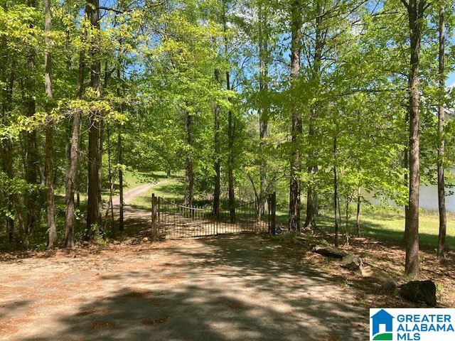 3400 Idaho Road Ashland, AL 36251 - Photo 35 of 41