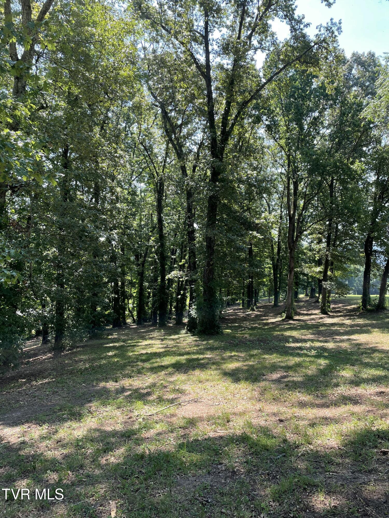 141 Twin Church Road, Unit 4 & 5 Bean Station, TN 37708 - Photo 14 of 35 IMG_8312