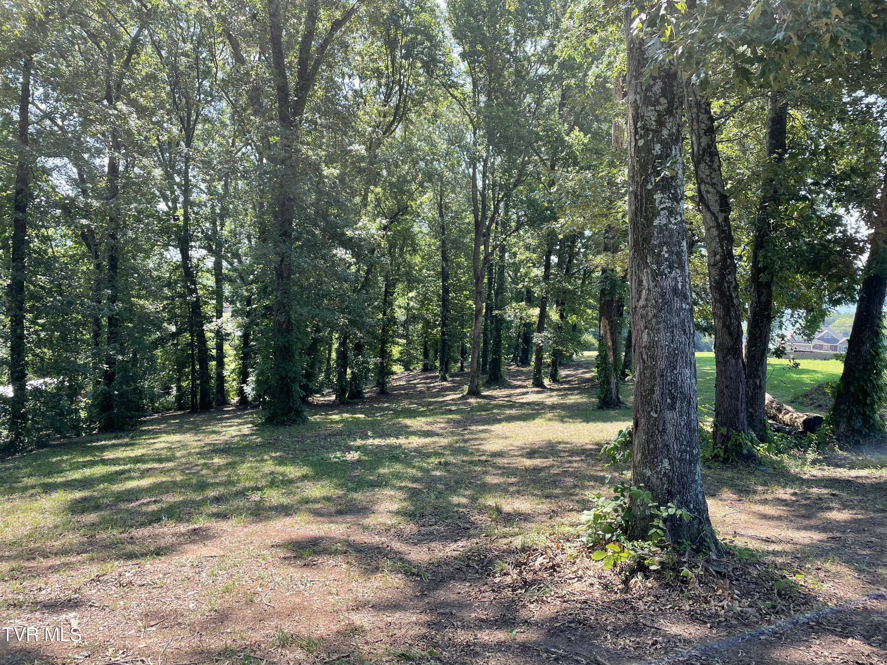 141 Twin Church Road, Unit 4 & 5 Bean Station, TN 37708 - Photo 15 of 35 IMG_8308