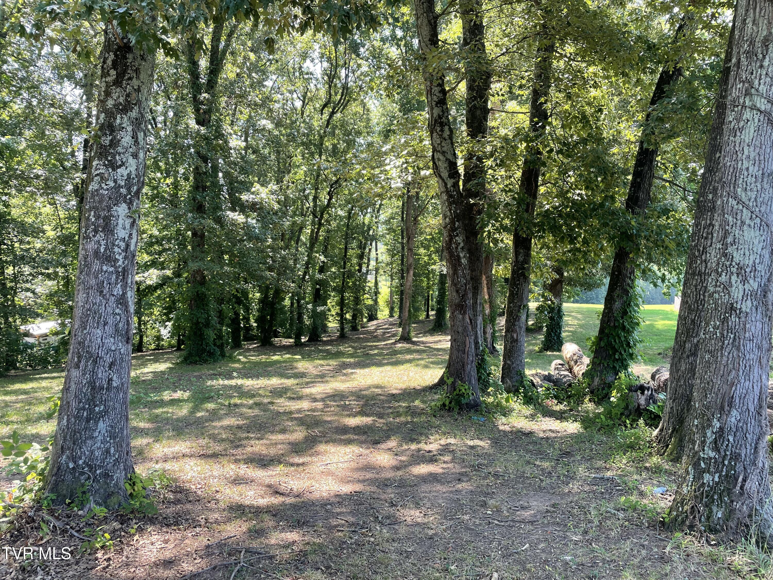 141 Twin Church Road, Unit 4 & 5 Bean Station, TN 37708 - Photo 16 of 35 IMG_8305