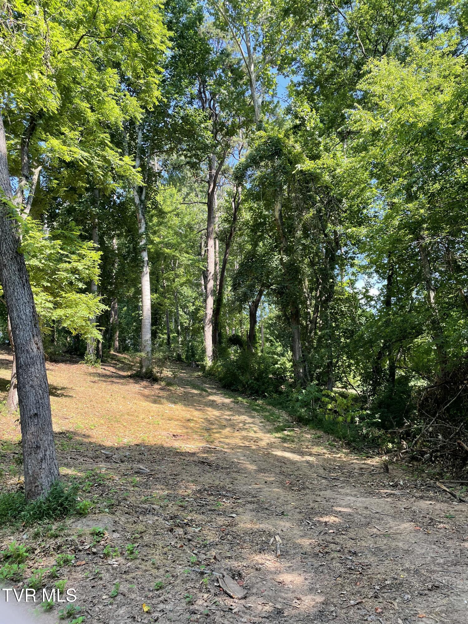 141 Twin Church Road, Unit 4 & 5 Bean Station, TN 37708 - Photo 21 of 35 IMG_8351