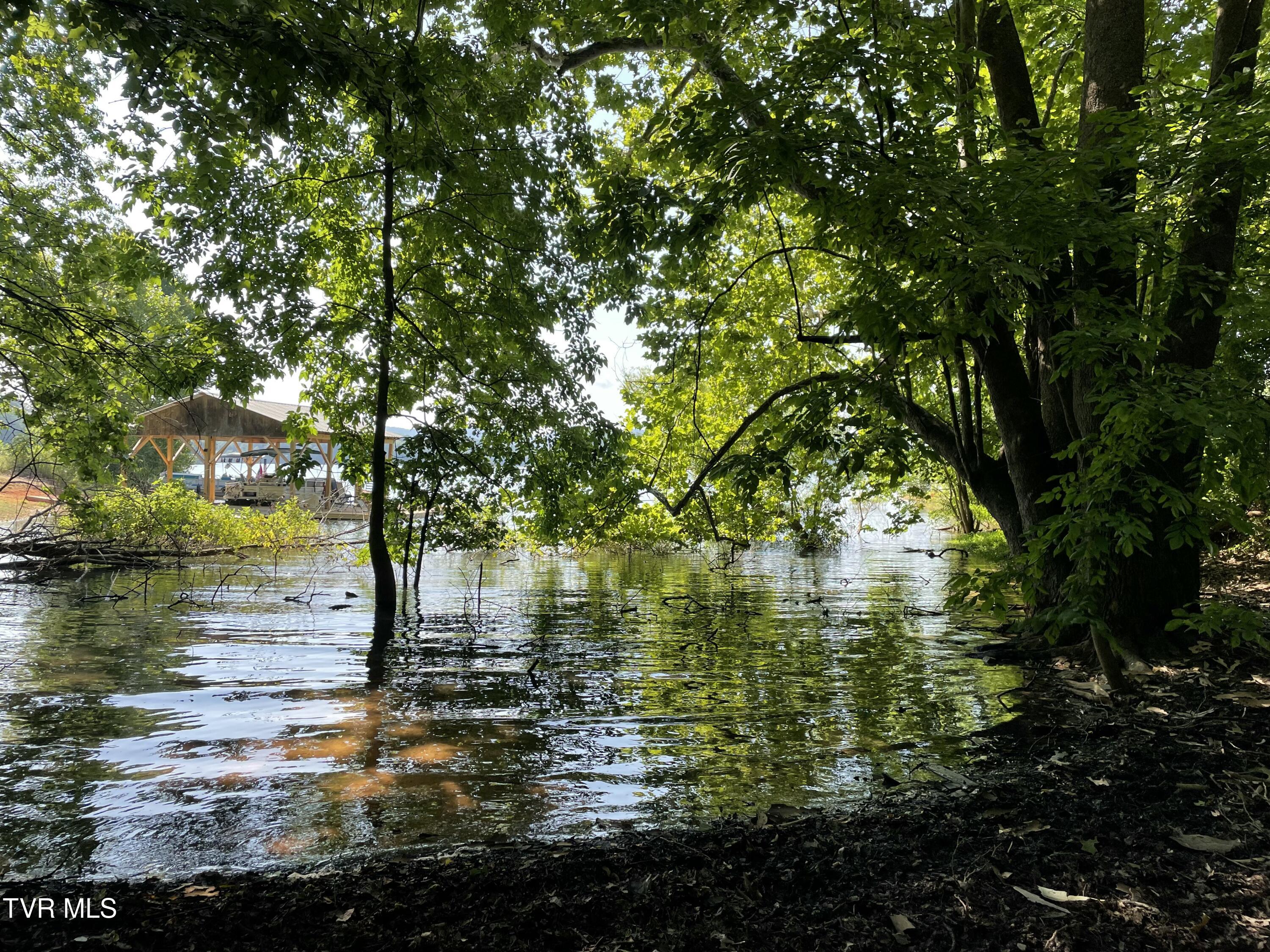 141 Twin Church Road, Unit 4 & 5 Bean Station, TN 37708 - Photo 24 of 35 IMG_8346