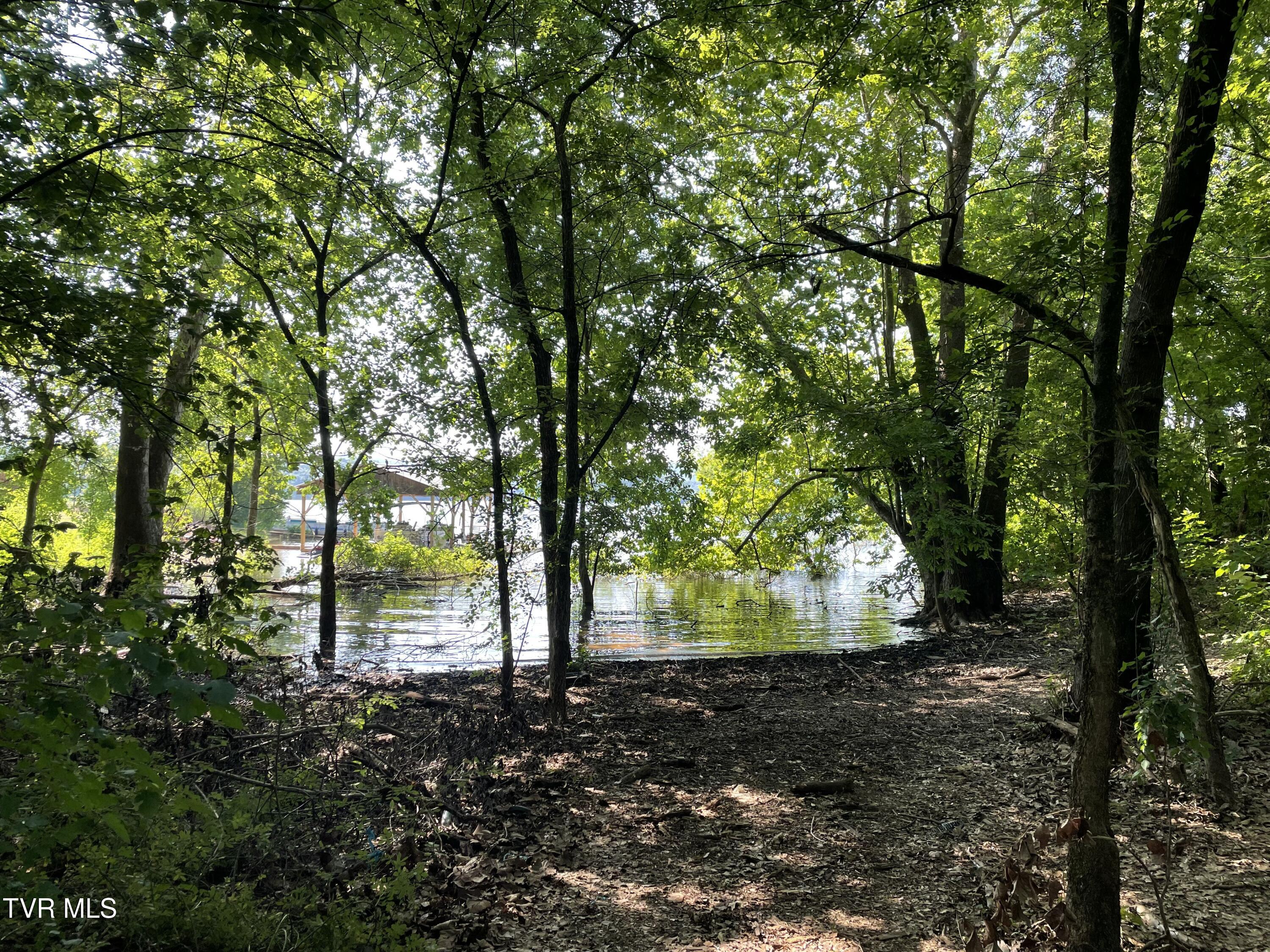 141 Twin Church Road, Unit 4 & 5 Bean Station, TN 37708 - Photo 25 of 35 IMG_8344