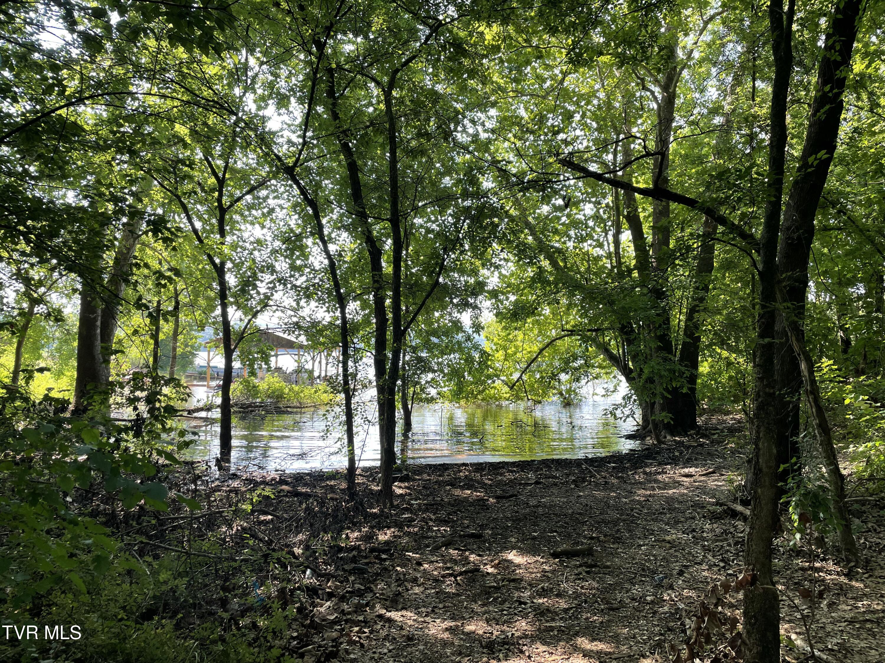 141 Twin Church Road, Unit 4 & 5 Bean Station, TN 37708 - Photo 26 of 35 IMG_8345