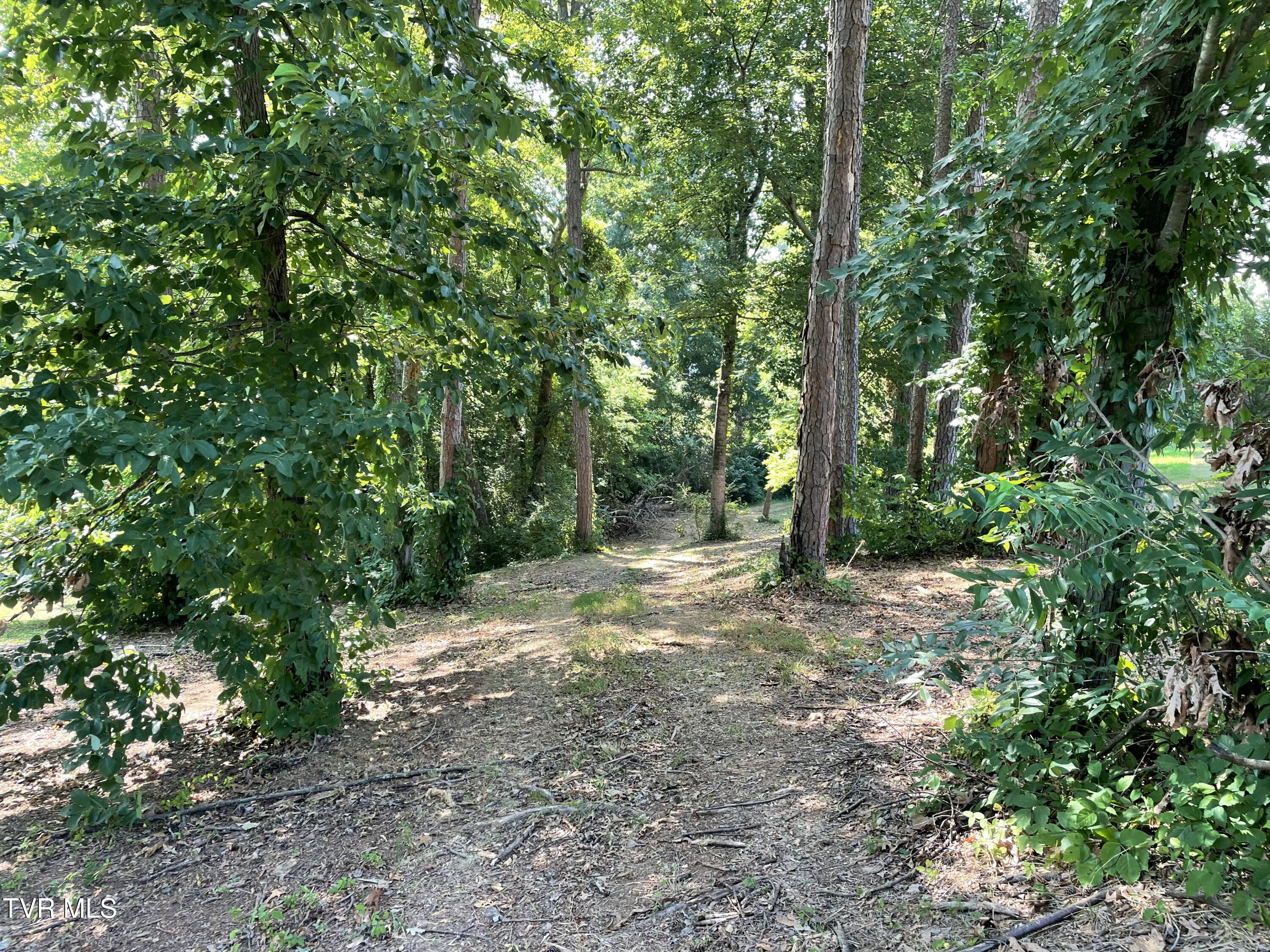 141 Twin Church Road, Unit 4 & 5 Bean Station, TN 37708 - Photo 29 of 35 IMG_8339