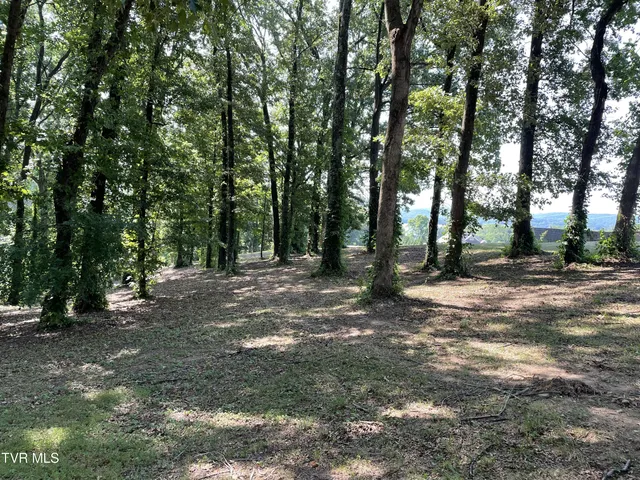 $349,900 | 141 Twin Church Road, Unit 4 & 5, Bean Station, TN 37708