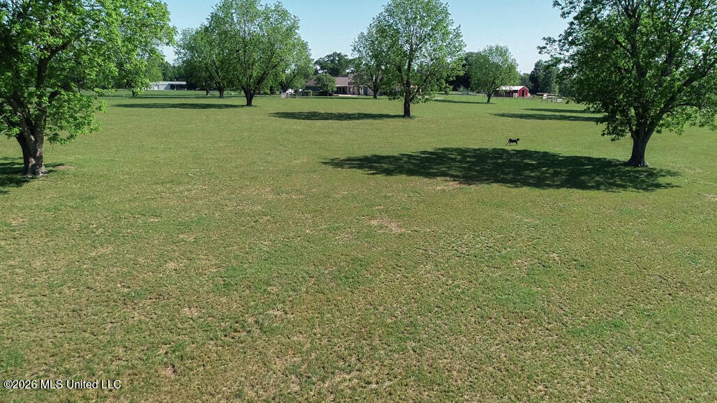 164 Lott Cemetary Road Perkinston, MS 39573 - Photo 57 of 68 pic-29