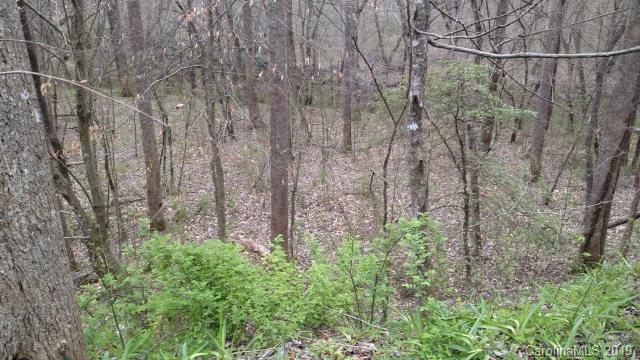 0 Henry Mc Call Road Marion, NC 28752 - Photo 2 of 8