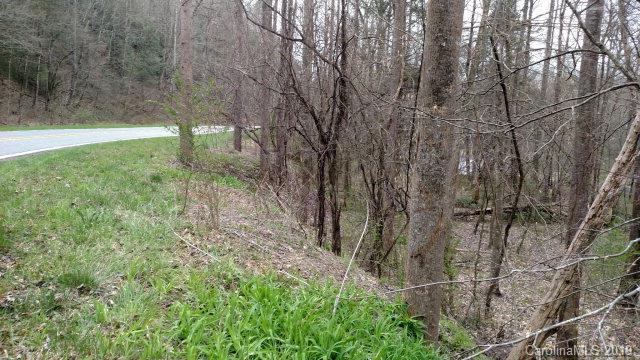 0 Henry Mc Call Road Marion, NC 28752 - Photo 3 of 8