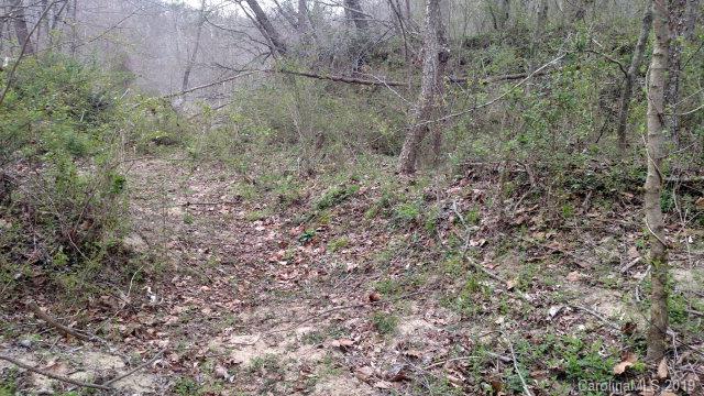 0 Henry Mc Call Road Marion, NC 28752 - Photo 7 of 8