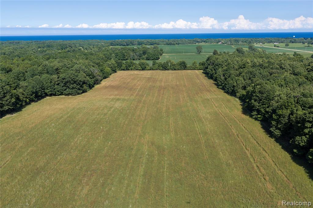 0 Harrington Road Croswell, MI 48422 - Photo 1 of 16 Gallery Image 1