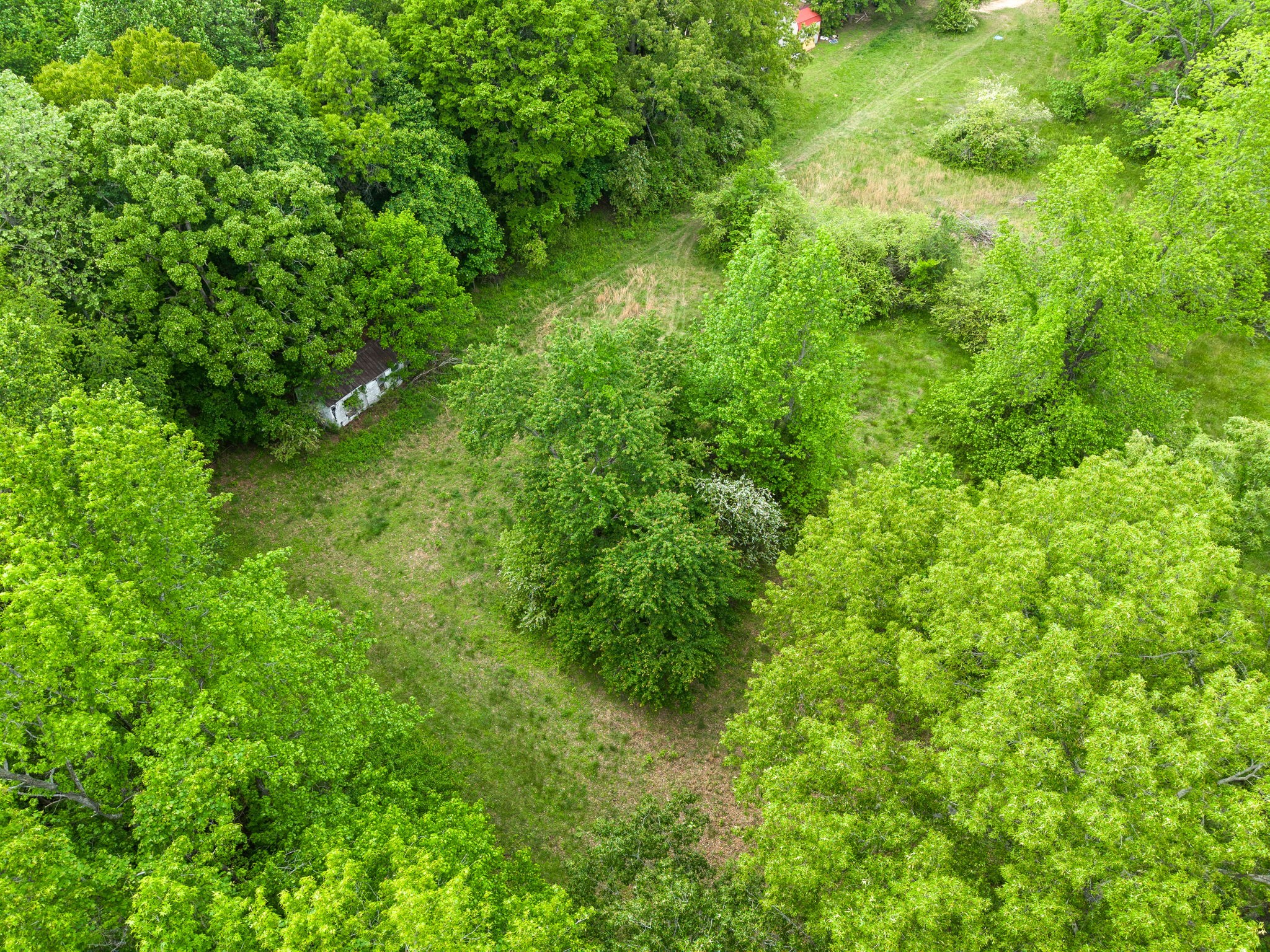 4920 Dover Road Indian Mound, TN 37079 - Photo 12 of 22