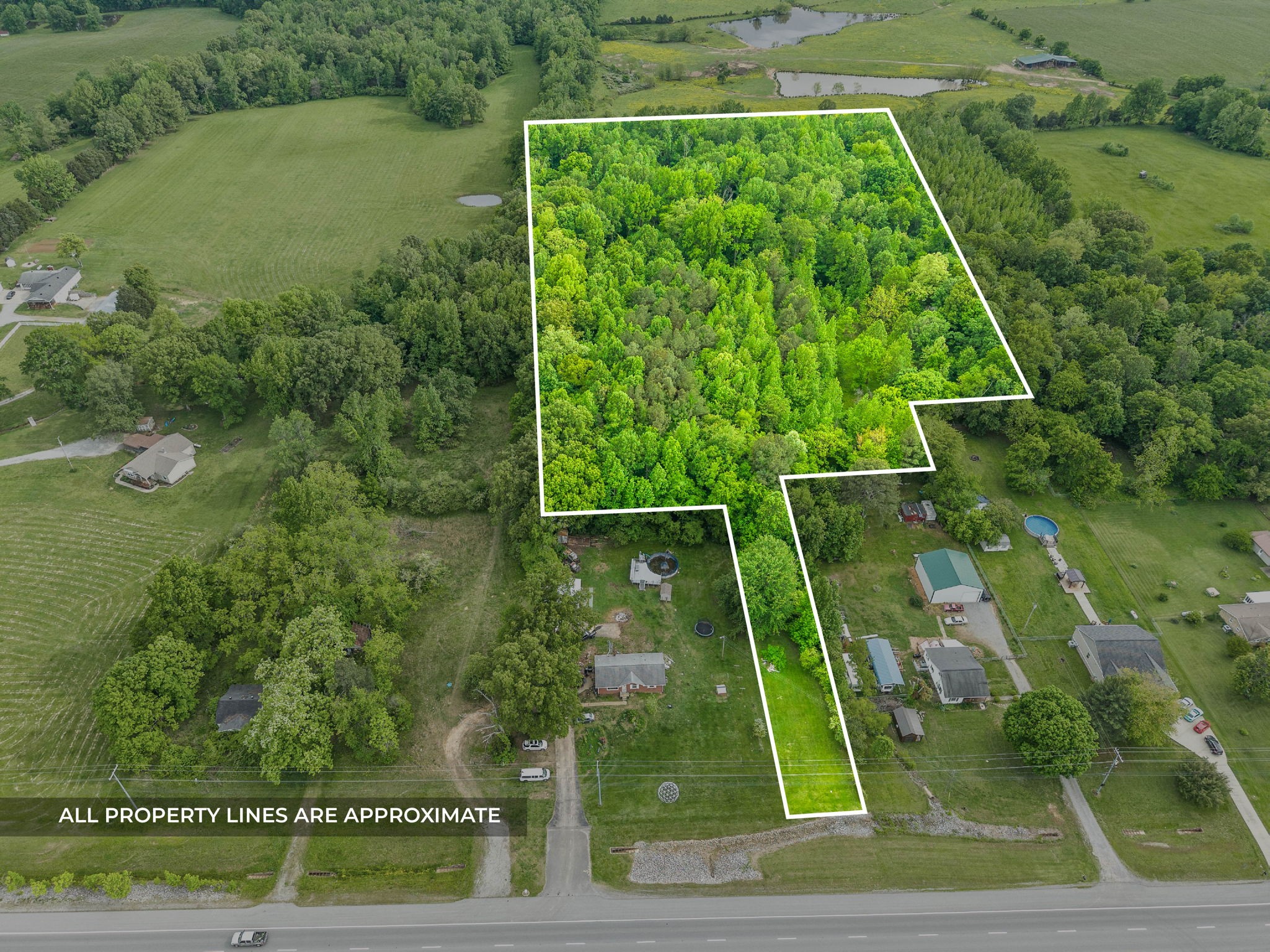 4920 Dover Road Indian Mound, TN 37079 - Photo 2 of 22