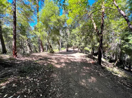 a view of a field with trees in the background