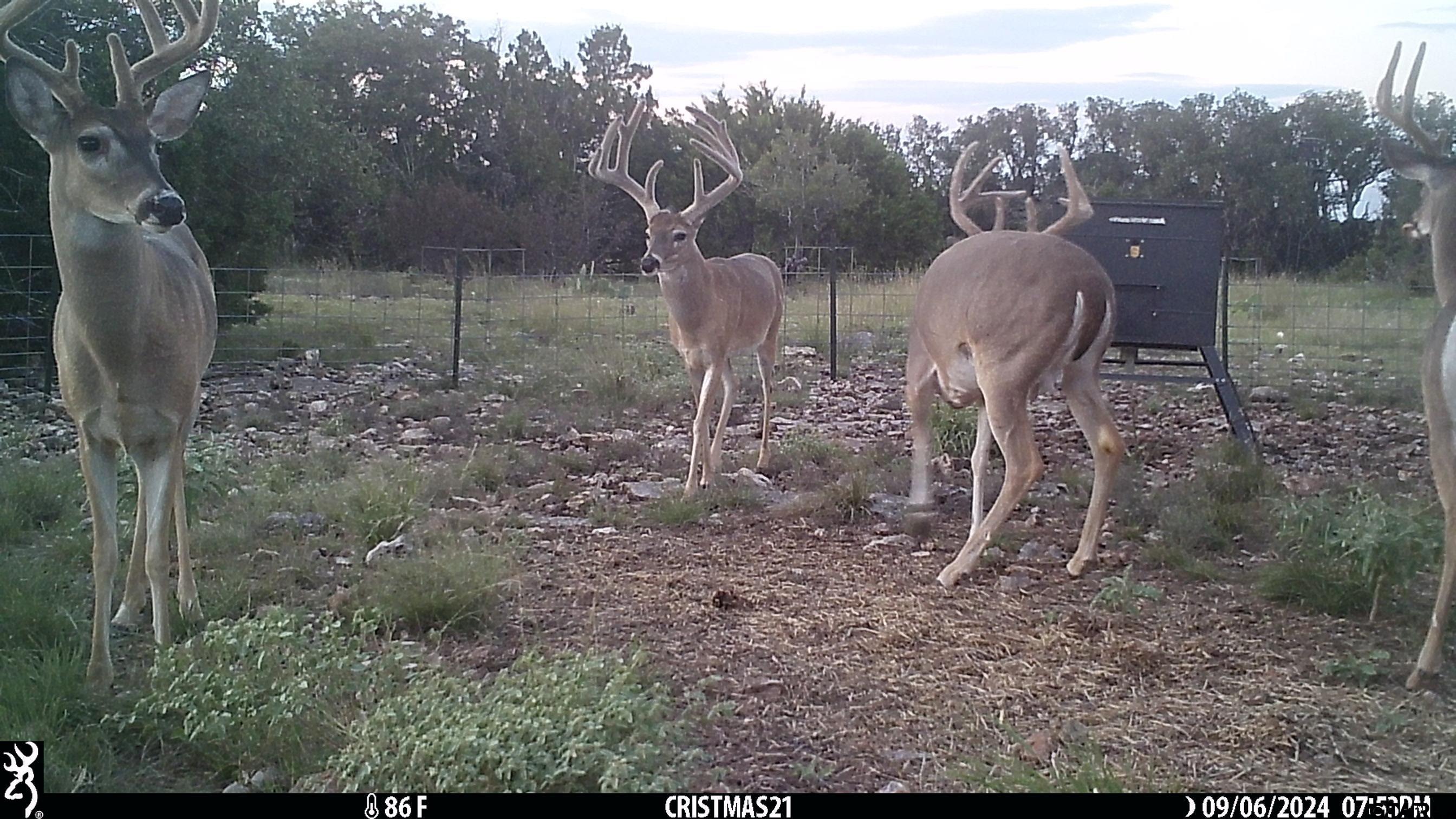 Lot 15 Contrary Creek Ranch Rocksprings, TX 78880 - Photo 1 of 48