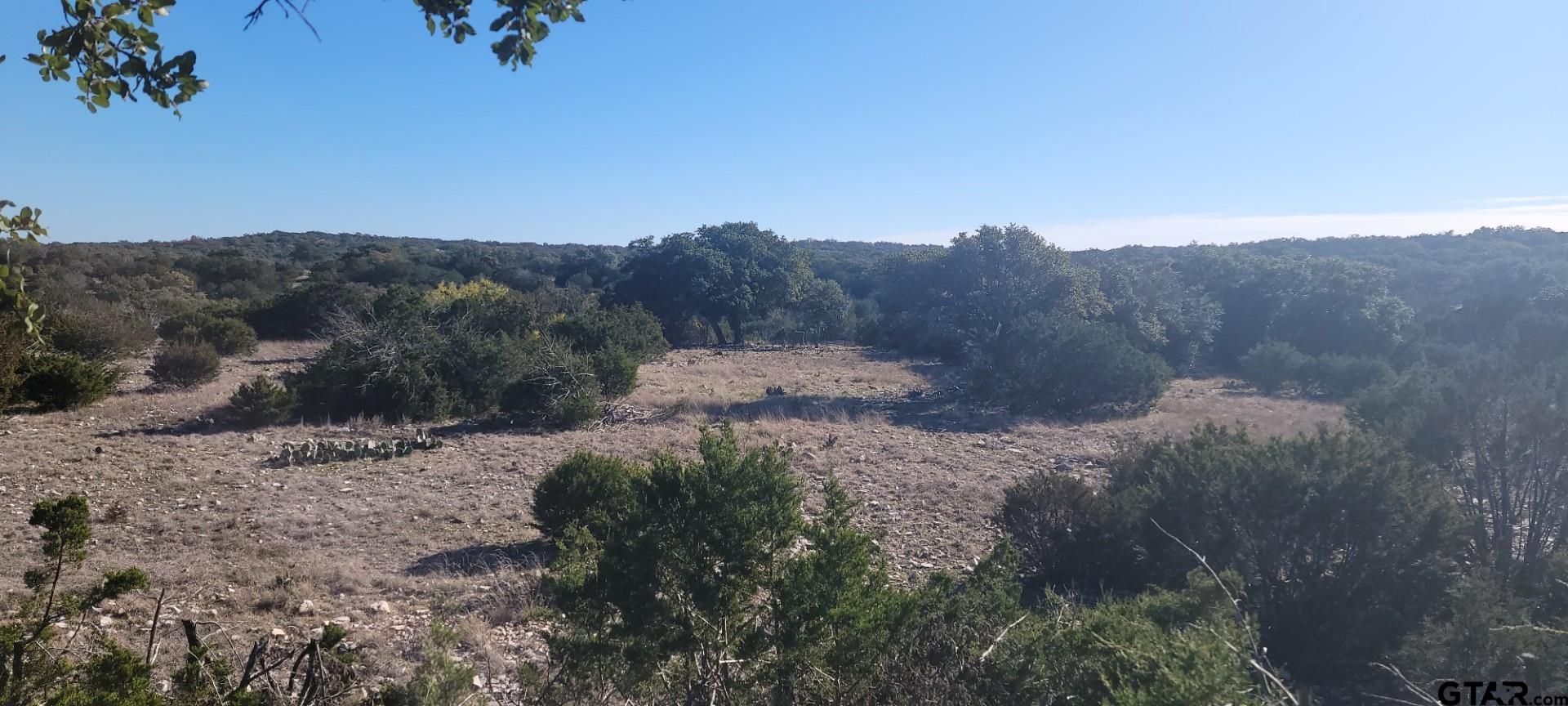 Lot 15 Contrary Creek Ranch Rocksprings, TX 78880 - Photo 11 of 48