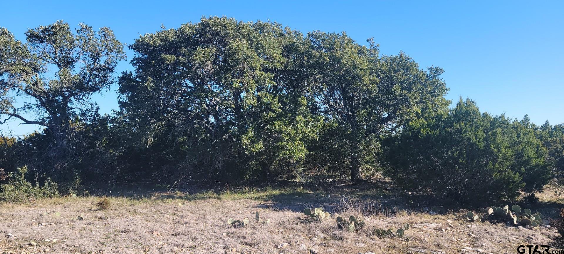 Lot 15 Contrary Creek Ranch Rocksprings, TX 78880 - Photo 12 of 48