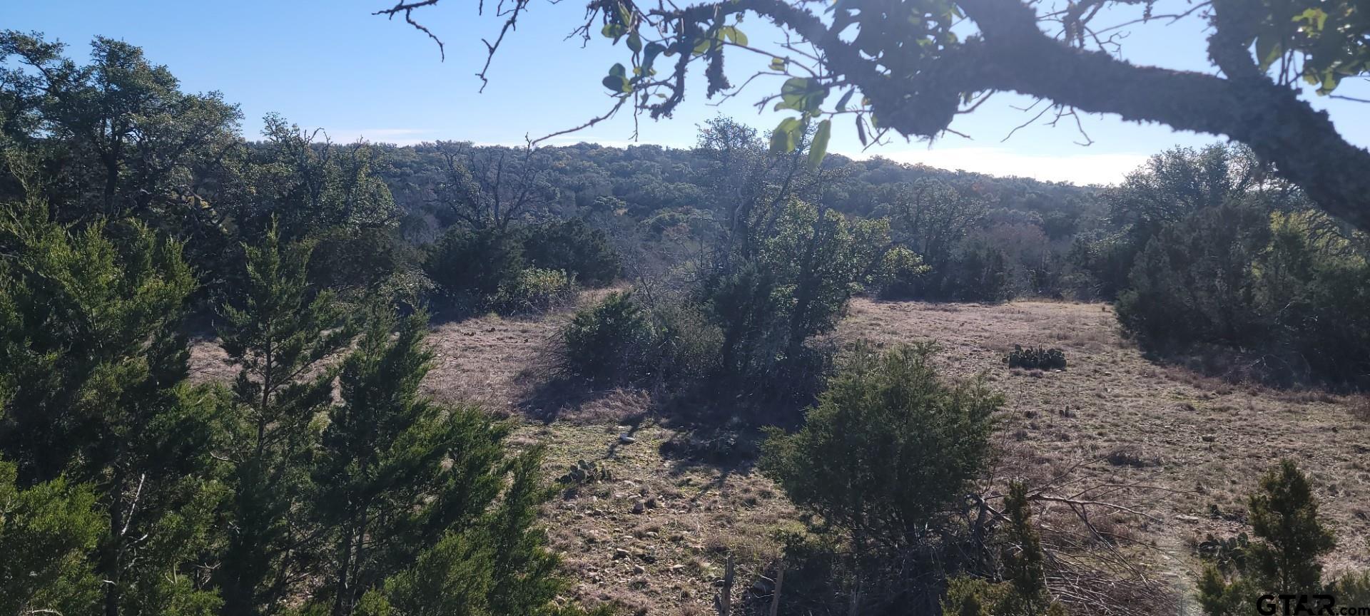 Lot 15 Contrary Creek Ranch Rocksprings, TX 78880 - Photo 13 of 48