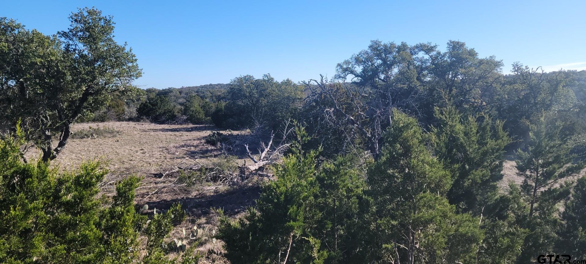 Lot 15 Contrary Creek Ranch Rocksprings, TX 78880 - Photo 14 of 48