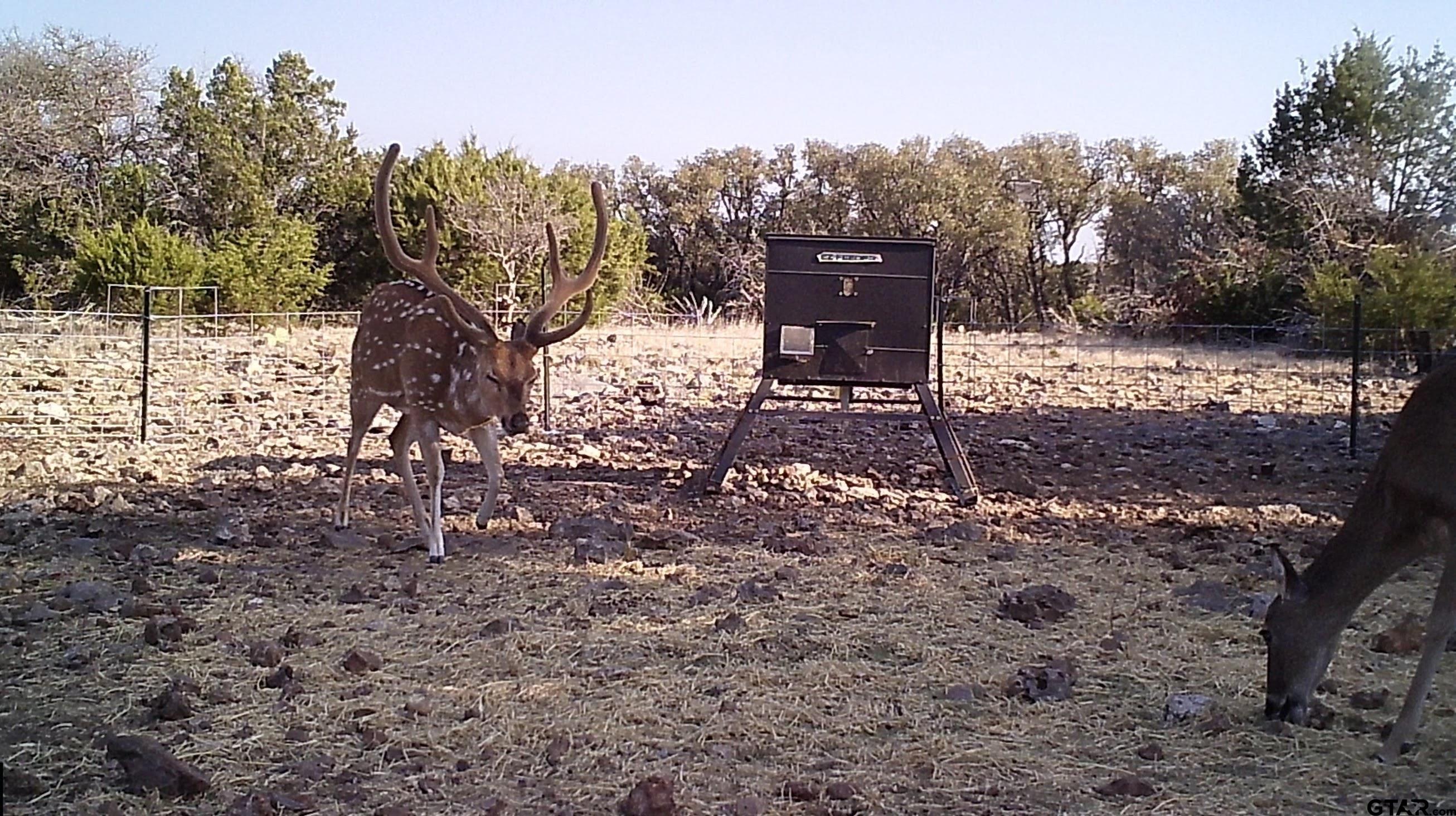 Lot 15 Contrary Creek Ranch Rocksprings, TX 78880 - Photo 20 of 48
