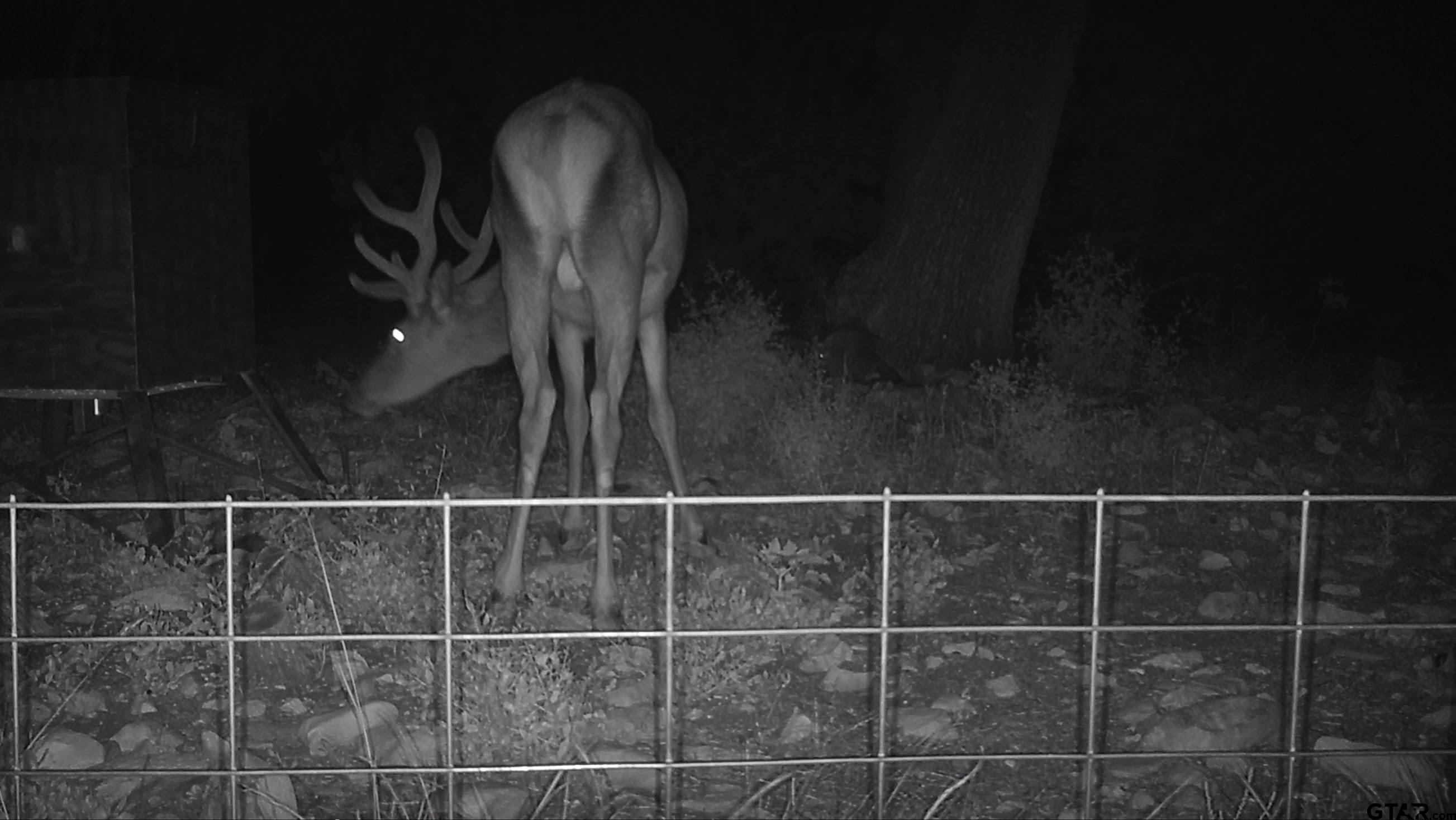 Lot 15 Contrary Creek Ranch Rocksprings, TX 78880 - Photo 21 of 48