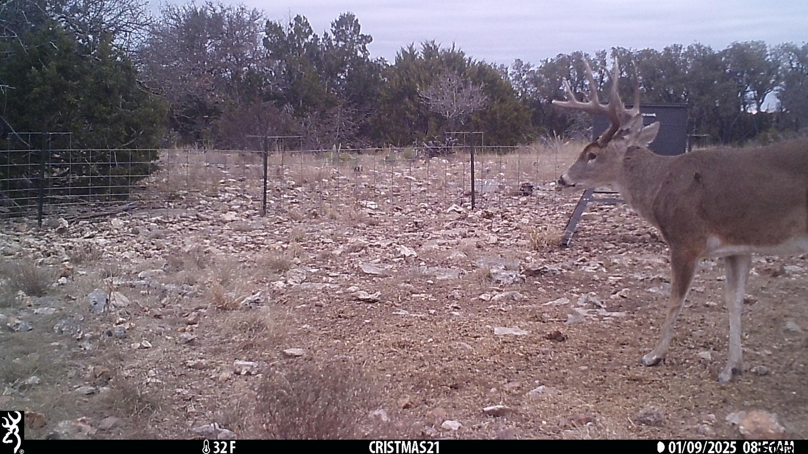 Lot 15 Contrary Creek Ranch Rocksprings, TX 78880 - Photo 24 of 48