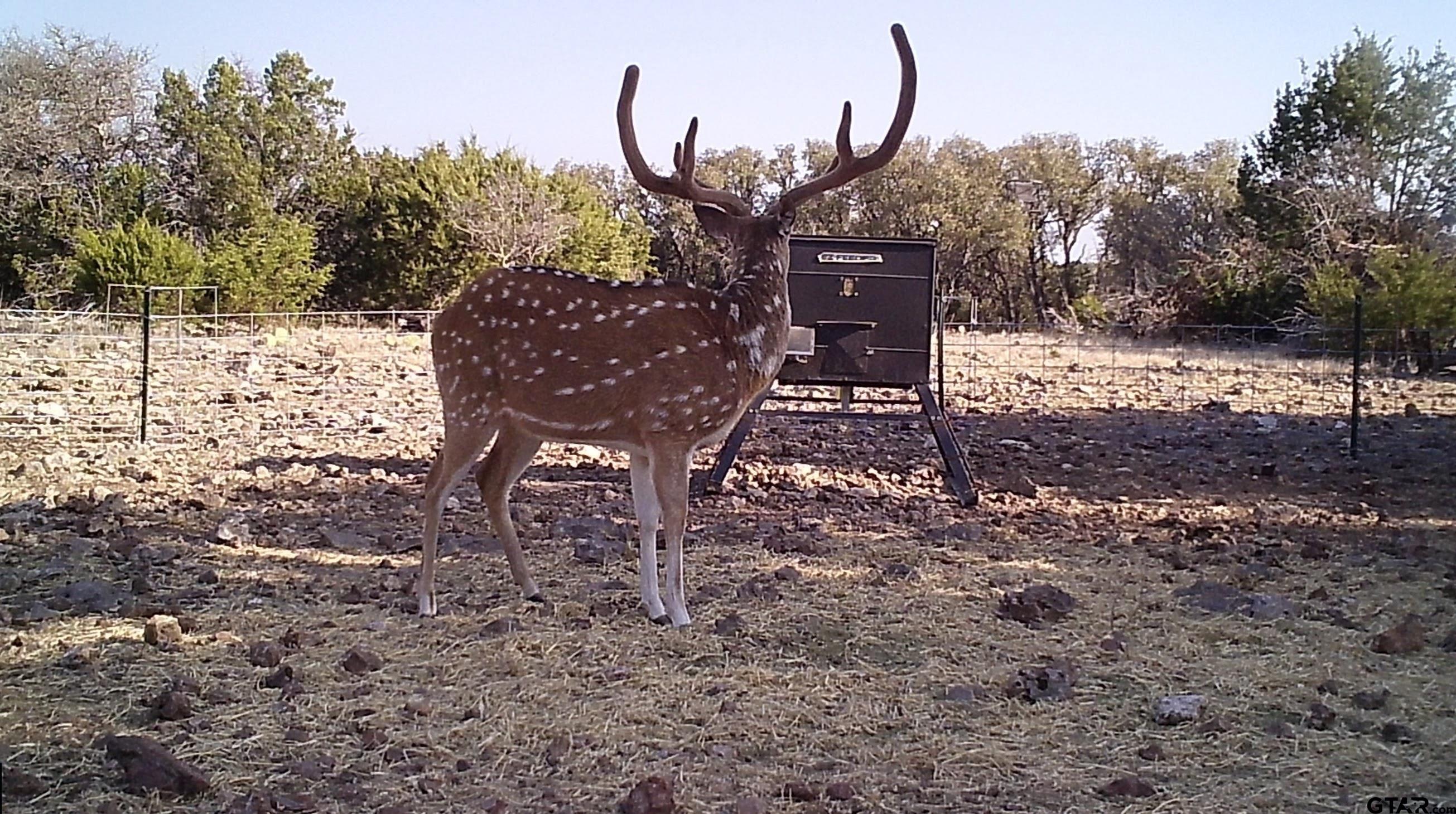 Lot 15 Contrary Creek Ranch Rocksprings, TX 78880 - Photo 26 of 48