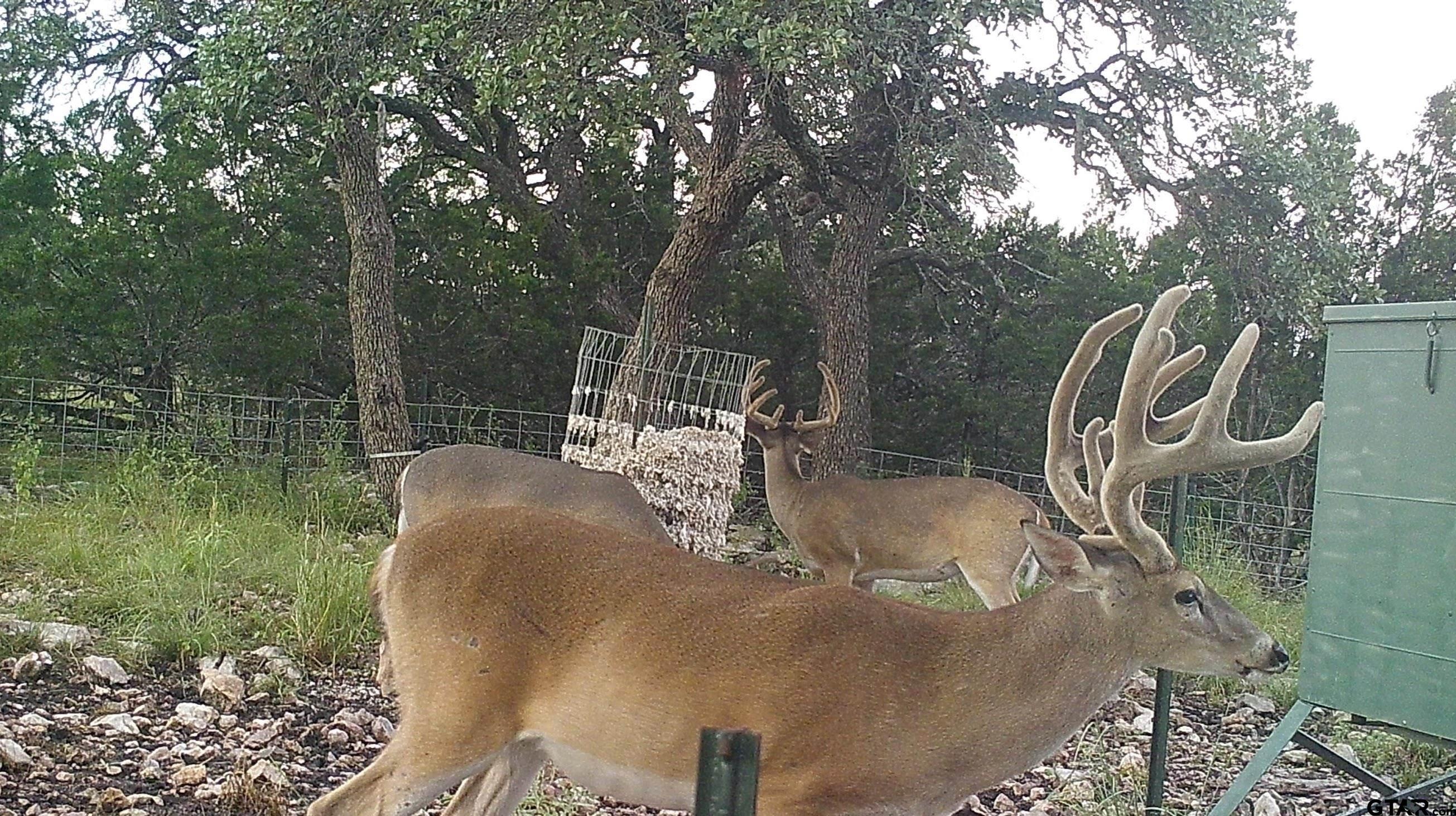 Lot 15 Contrary Creek Ranch Rocksprings, TX 78880 - Photo 27 of 48