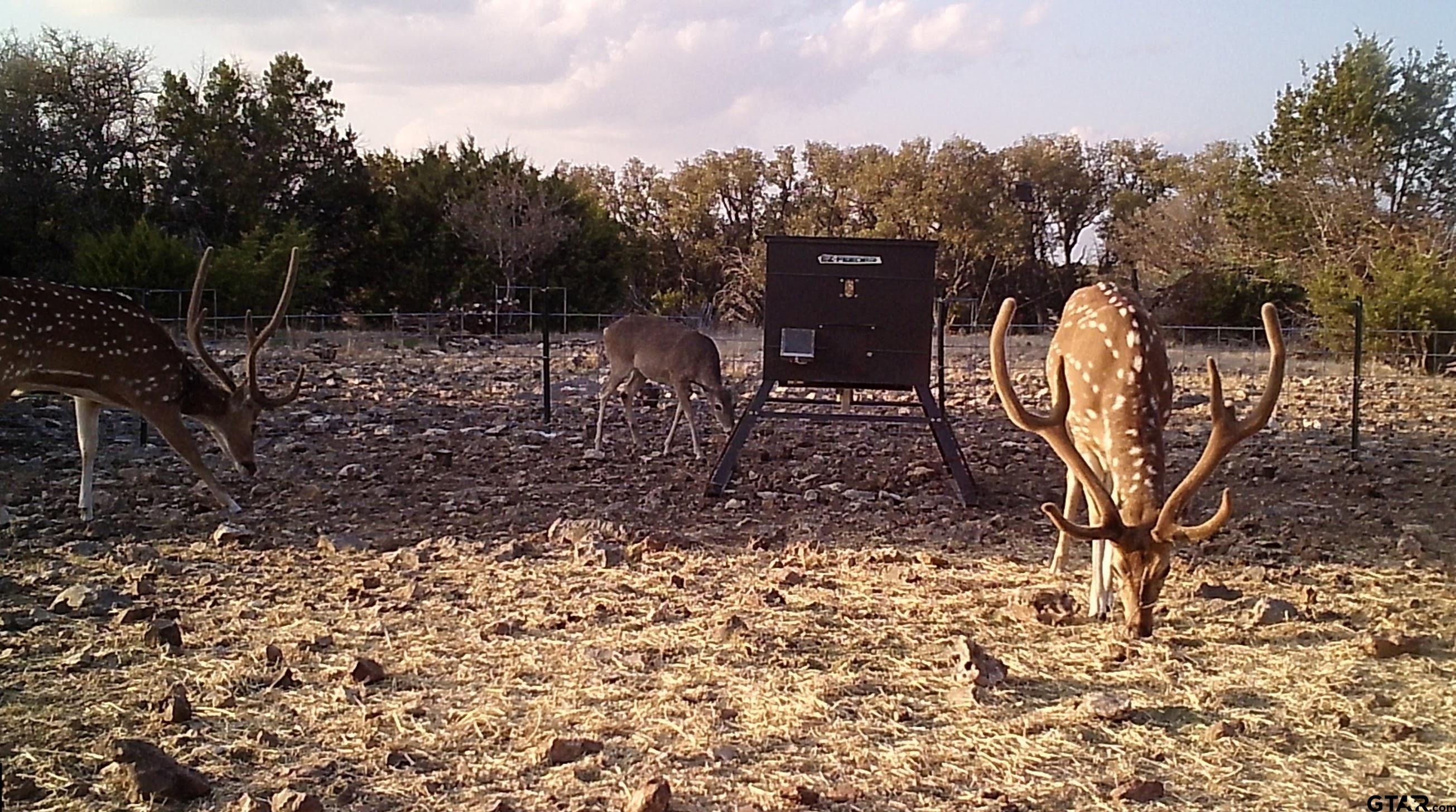 Lot 15 Contrary Creek Ranch Rocksprings, TX 78880 - Photo 28 of 48