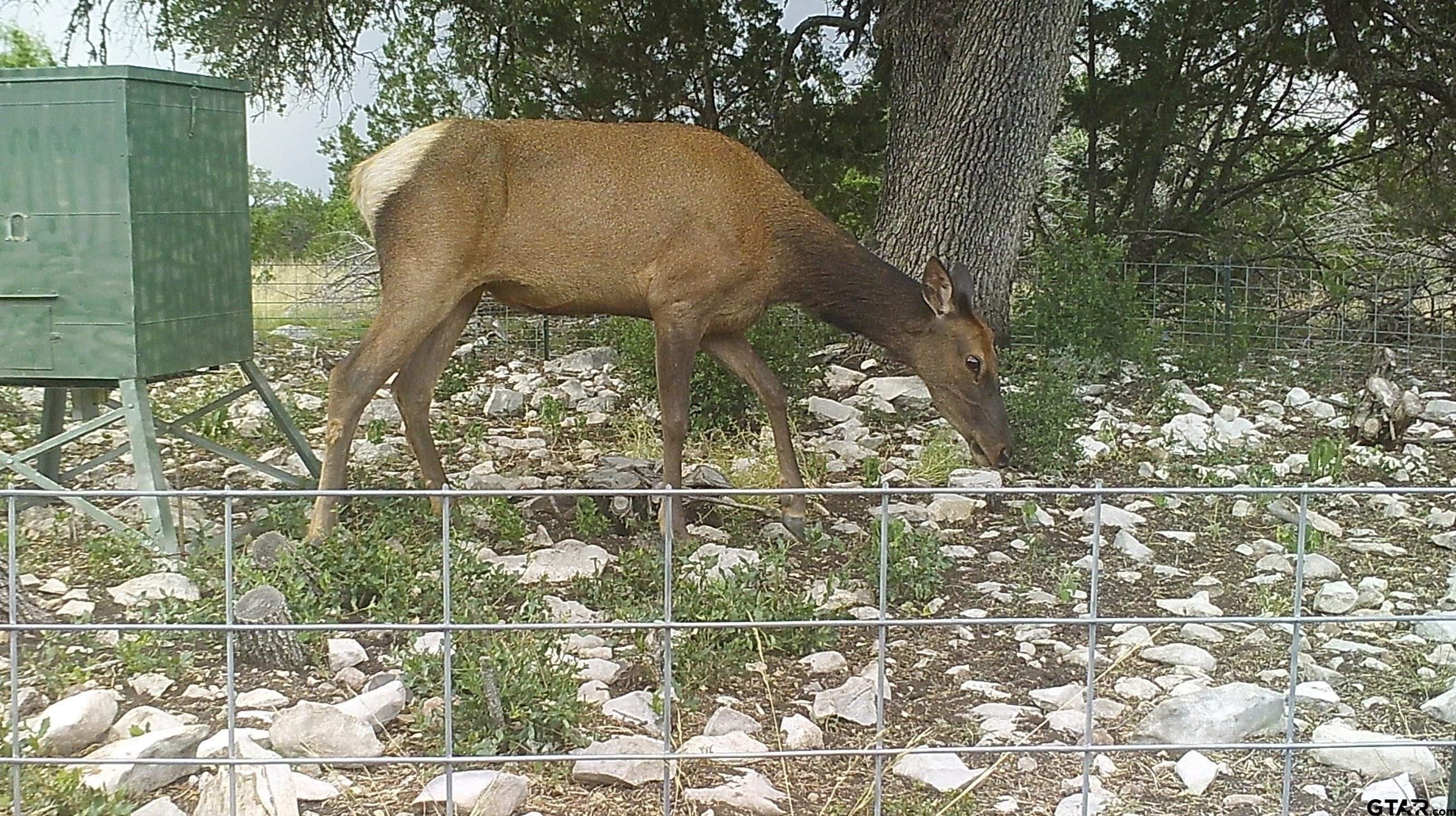 Lot 15 Contrary Creek Ranch Rocksprings, TX 78880 - Photo 29 of 48