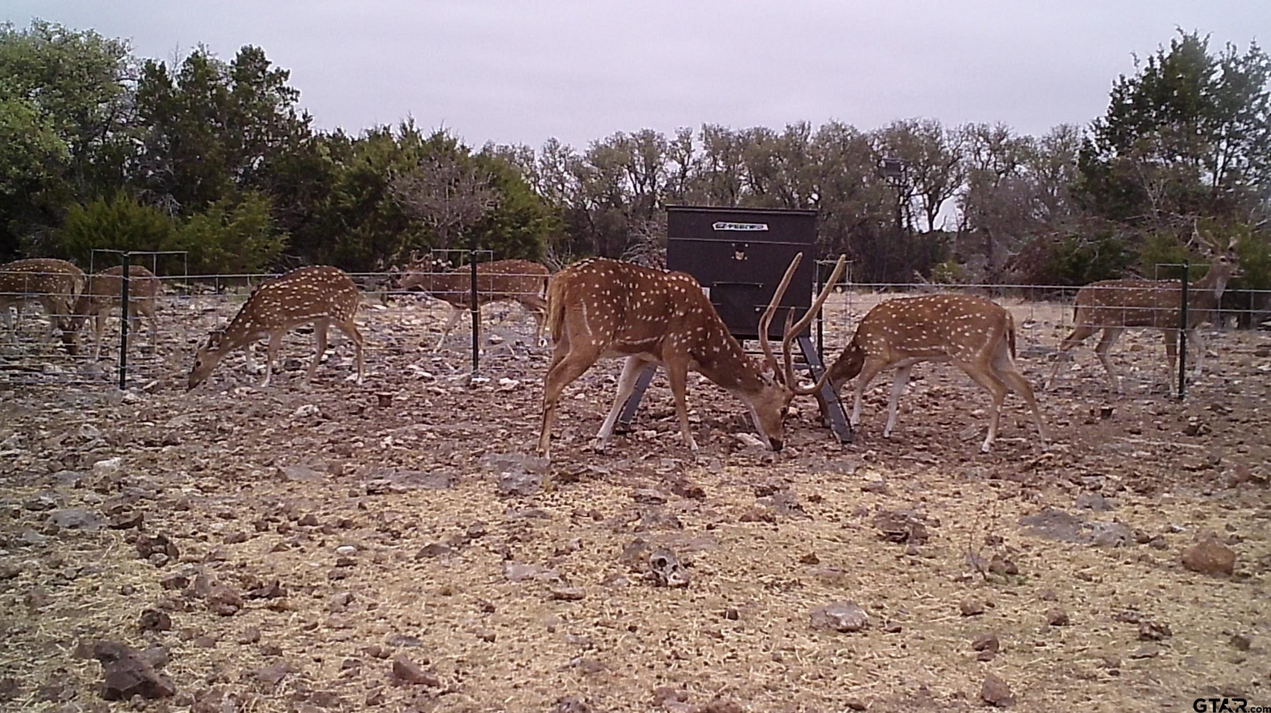Lot 15 Contrary Creek Ranch Rocksprings, TX 78880 - Photo 30 of 48