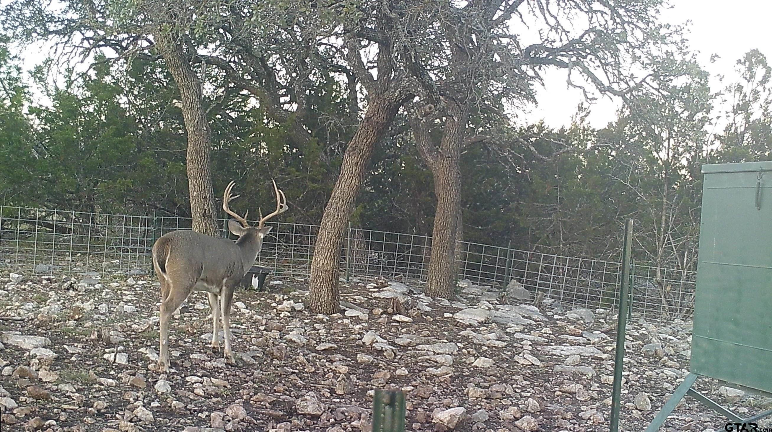 Lot 15 Contrary Creek Ranch Rocksprings, TX 78880 - Photo 31 of 48