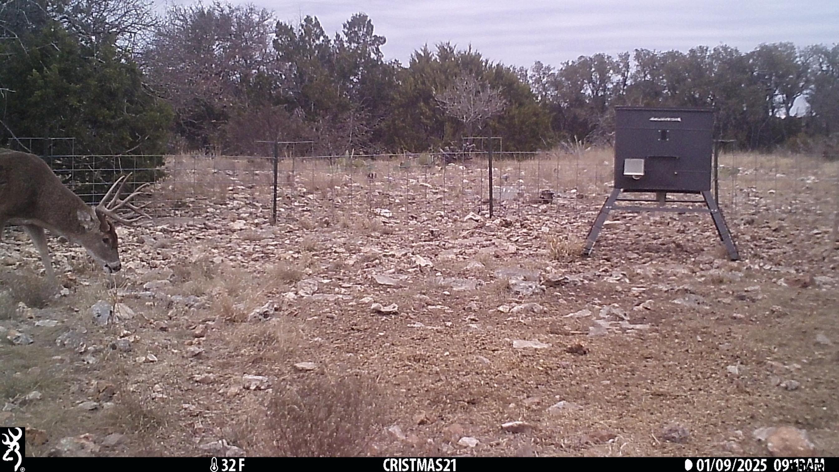 Lot 15 Contrary Creek Ranch Rocksprings, TX 78880 - Photo 36 of 48