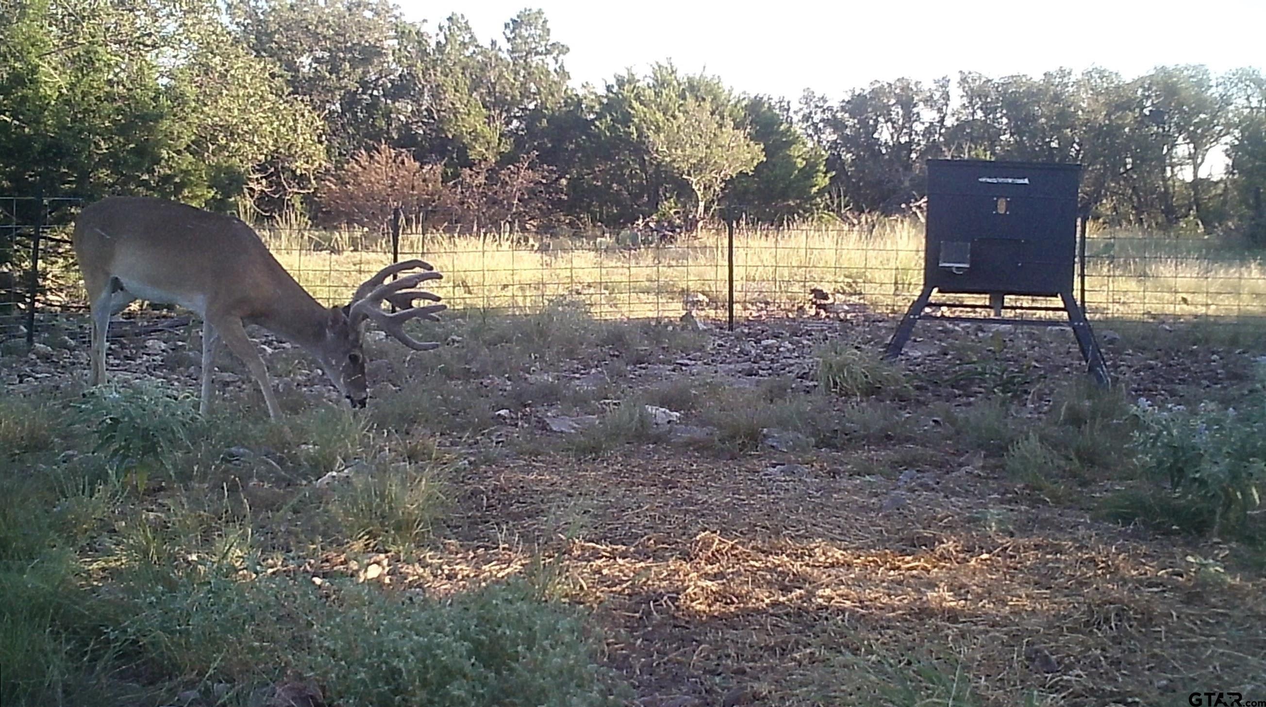 Lot 15 Contrary Creek Ranch Rocksprings, TX 78880 - Photo 37 of 48