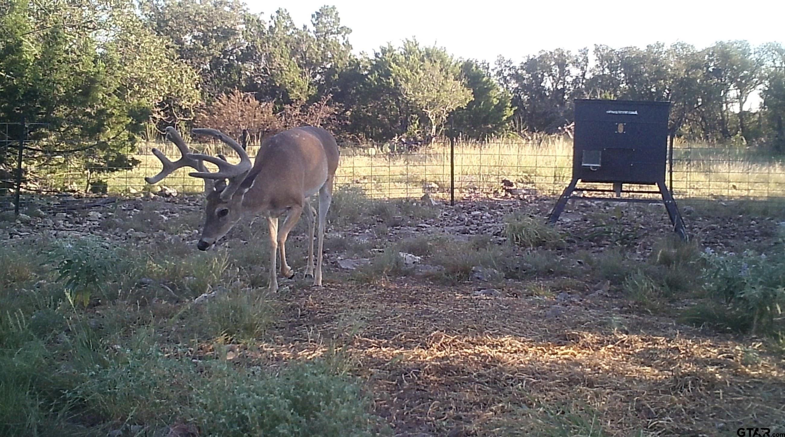 Lot 15 Contrary Creek Ranch Rocksprings, TX 78880 - Photo 38 of 48