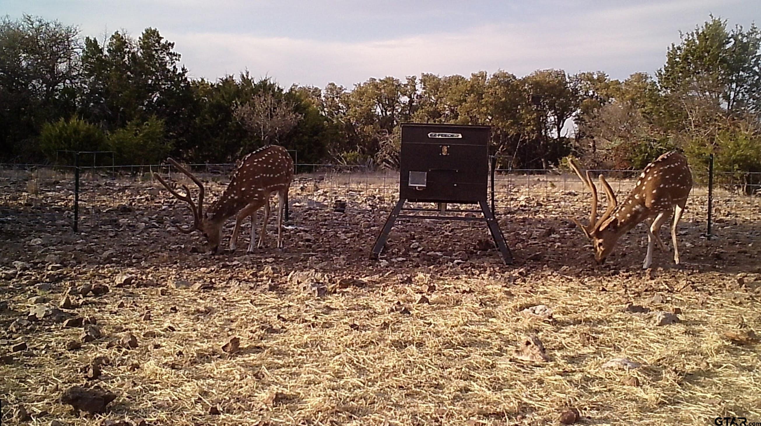 Lot 15 Contrary Creek Ranch Rocksprings, TX 78880 - Photo 39 of 48