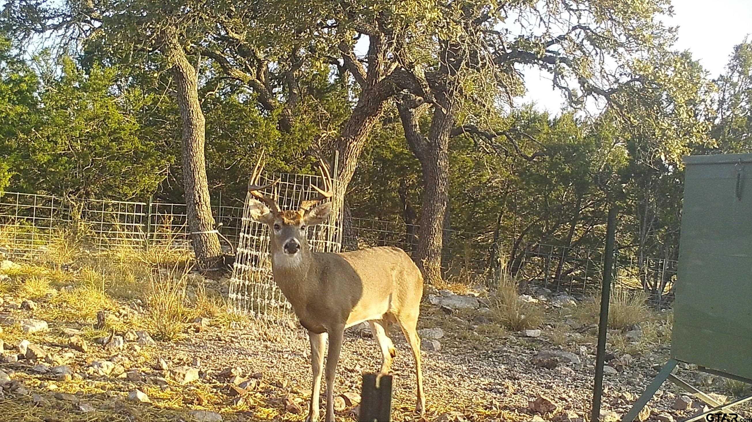 Lot 15 Contrary Creek Ranch Rocksprings, TX 78880 - Photo 41 of 48