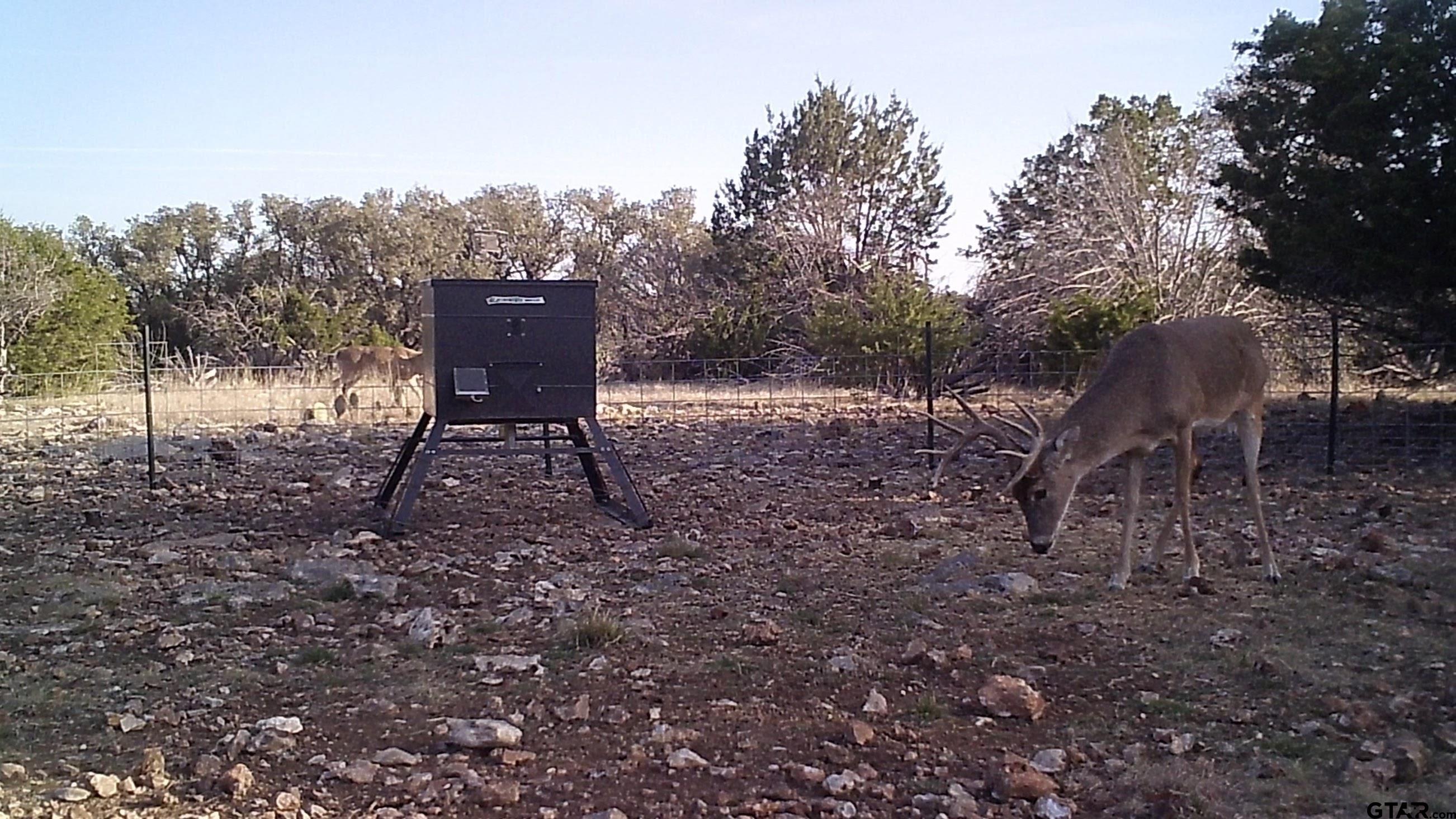 Lot 15 Contrary Creek Ranch Rocksprings, TX 78880 - Photo 42 of 48