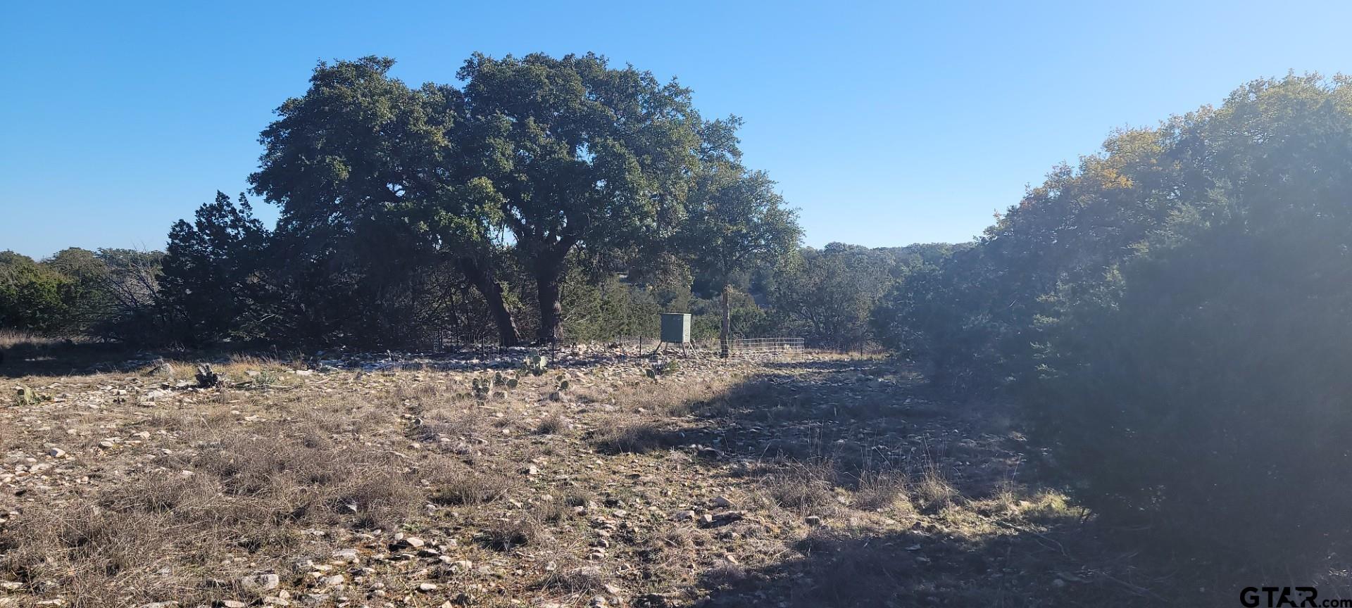 Lot 15 Contrary Creek Ranch Rocksprings, TX 78880 - Photo 10 of 48