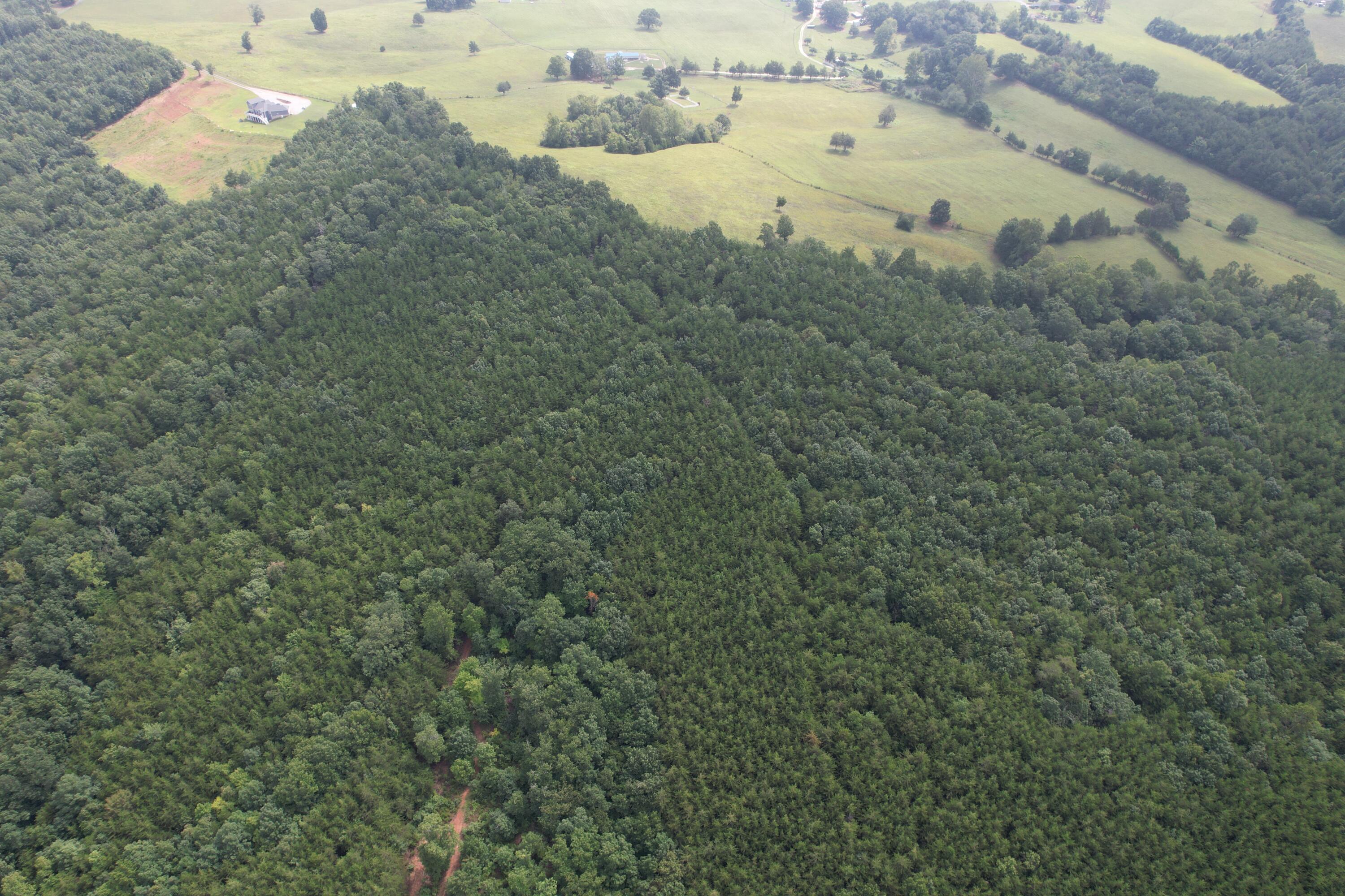 0 Paisley Road Gretna, VA 24557 - Photo 16 of 48 DJI_0098