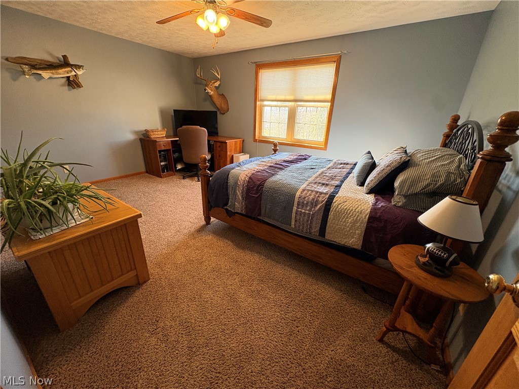 67174 Pancoast Road Belmont, OH 43718 - Photo 38 of 46