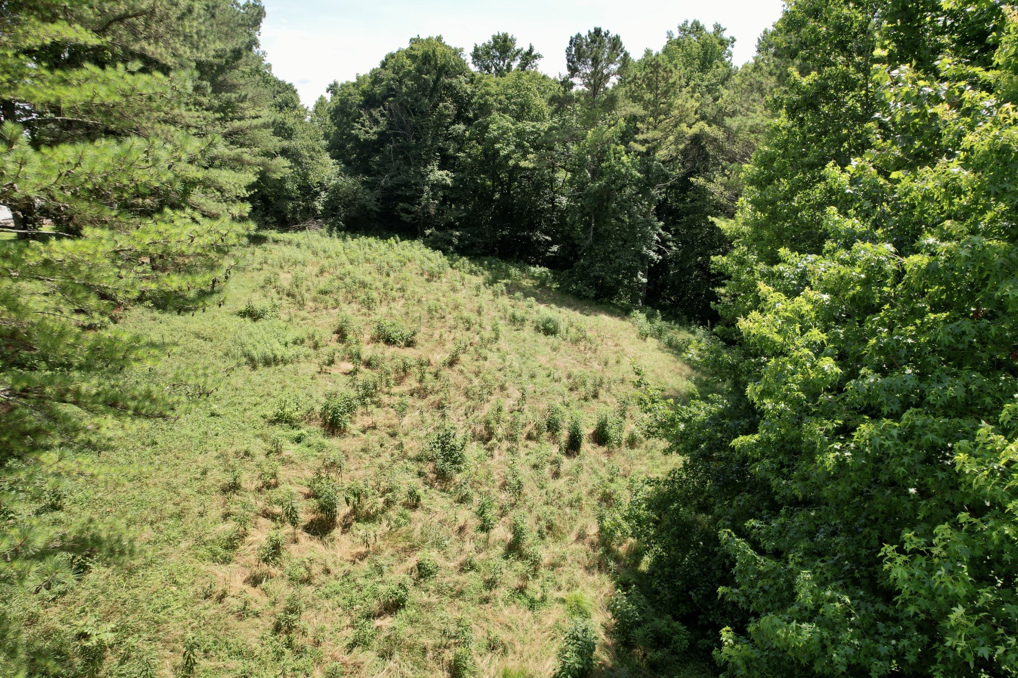 59 Hardin Loop Westpoint, TN 38486 - Photo 61 of 74